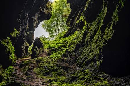 Cueva de las Chovas