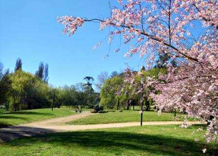 Parque de Galeras