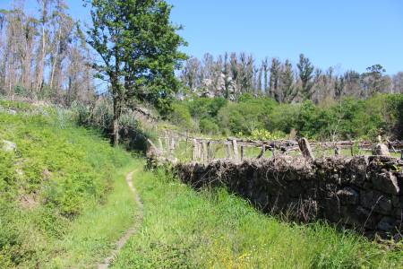 Ruta sendero dos Matos