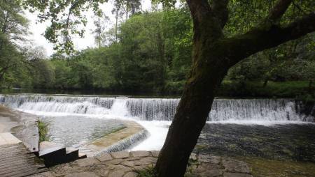 Playa Fluvial de A Calzada