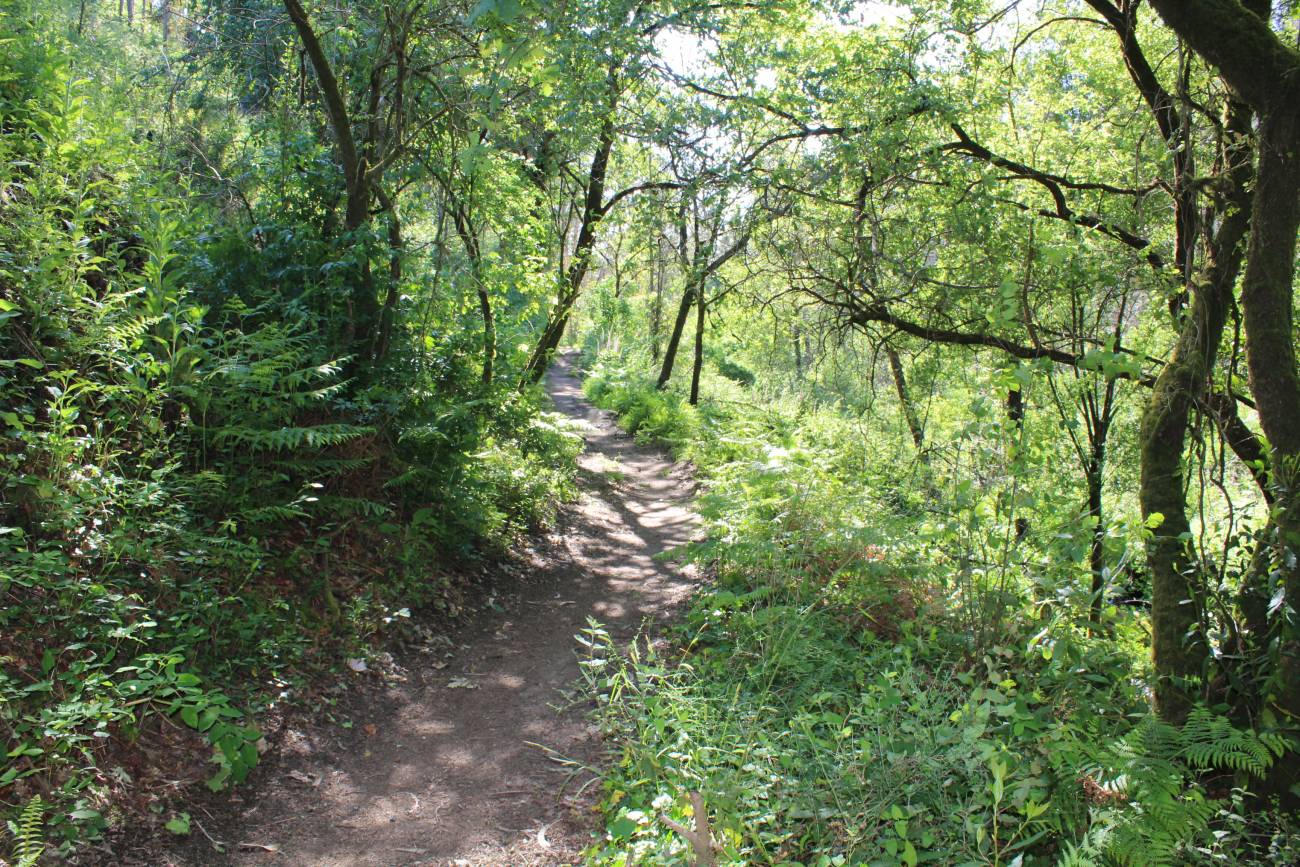 Ruta sendero dos Matos