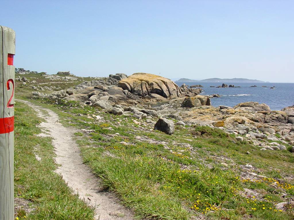 Con Negro. Arte al natural PRG-116