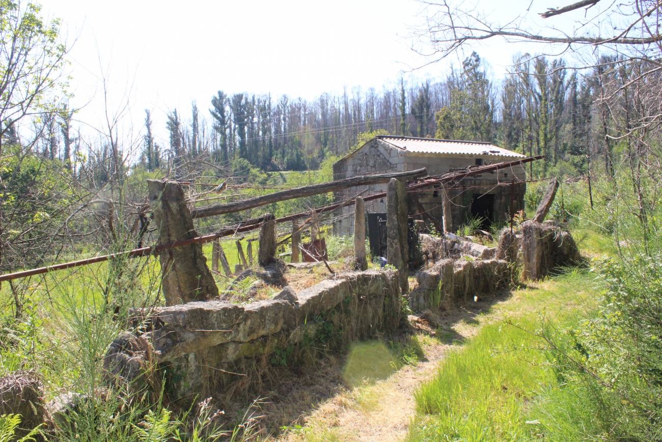 Ruta sendero dos Matos