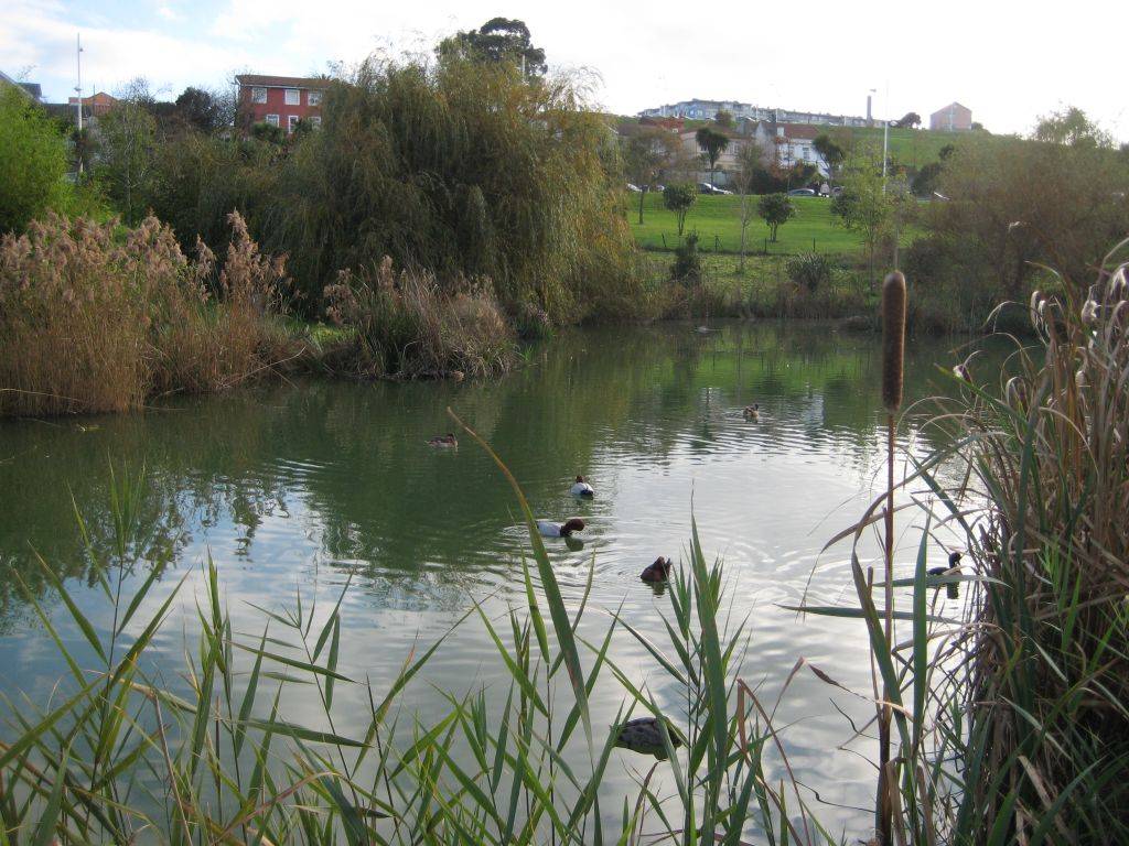 Parque de Eirís