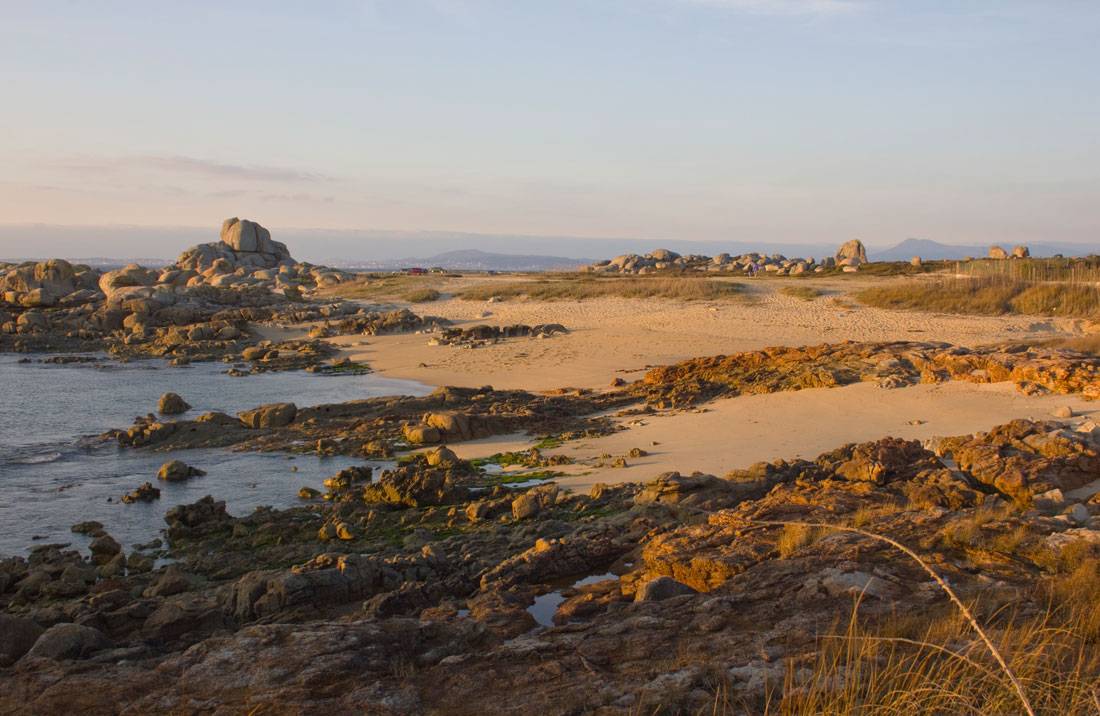 Con Negro. Arte al natural PRG-116