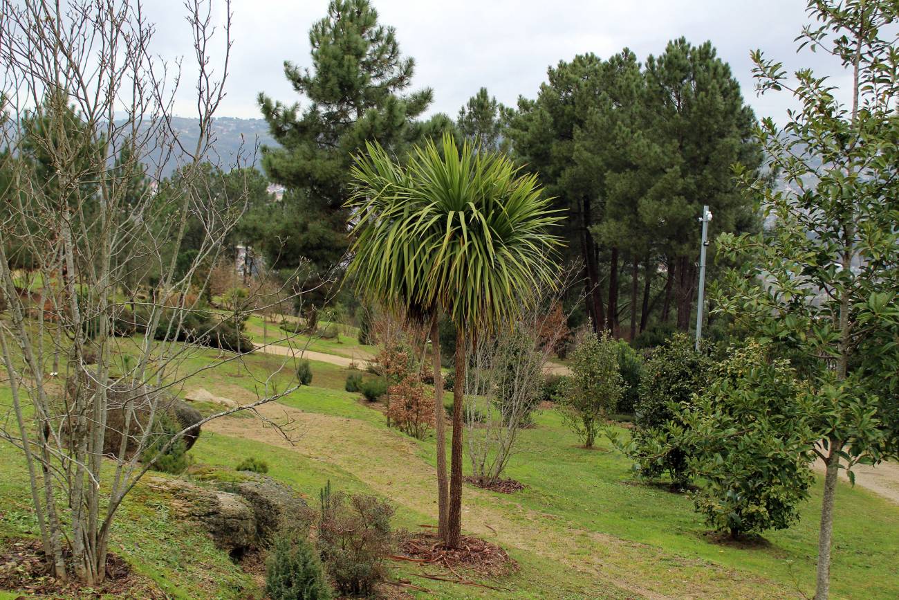 Botánico de Montealegre