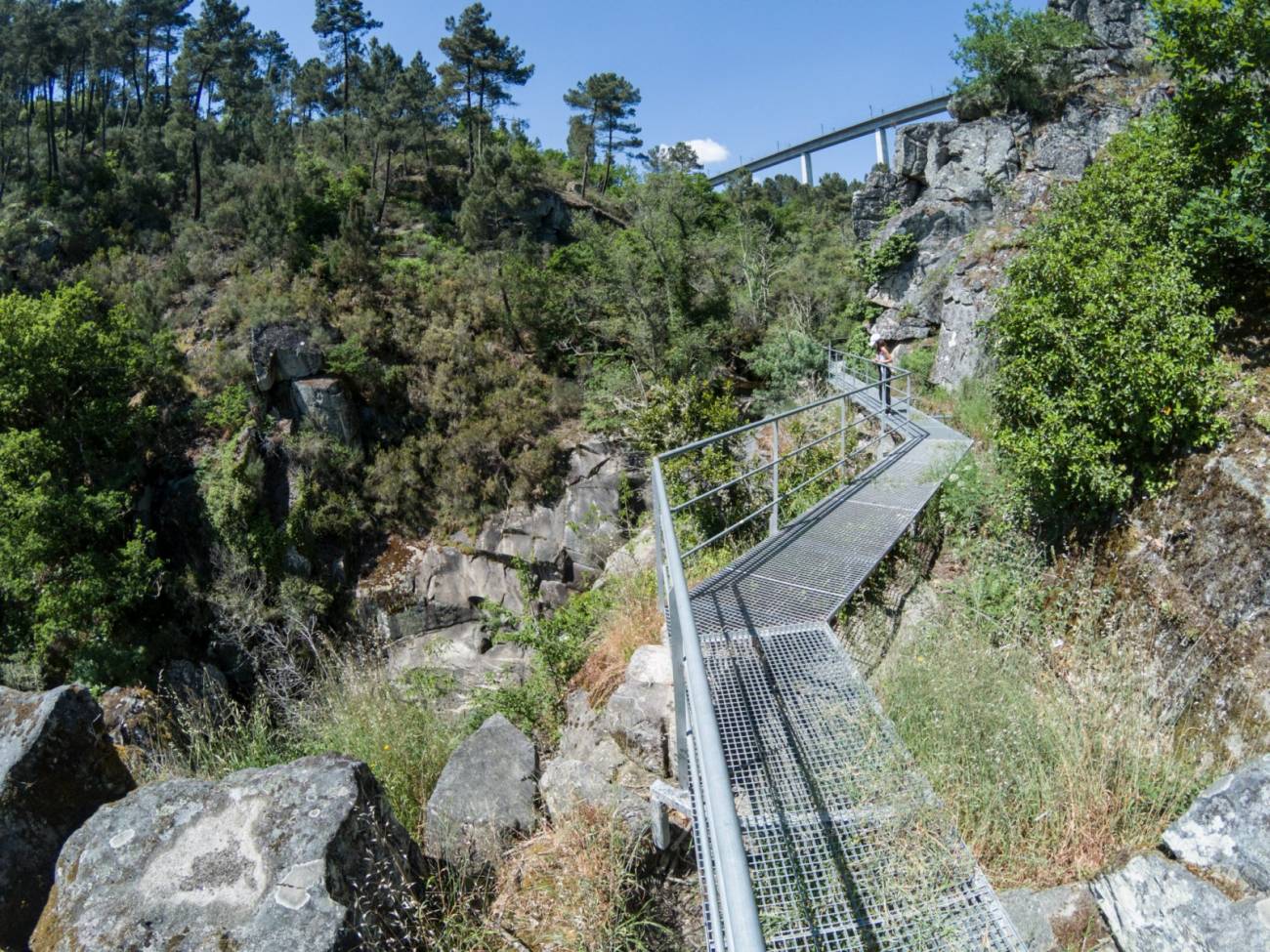 Fervenza de Barbantiño