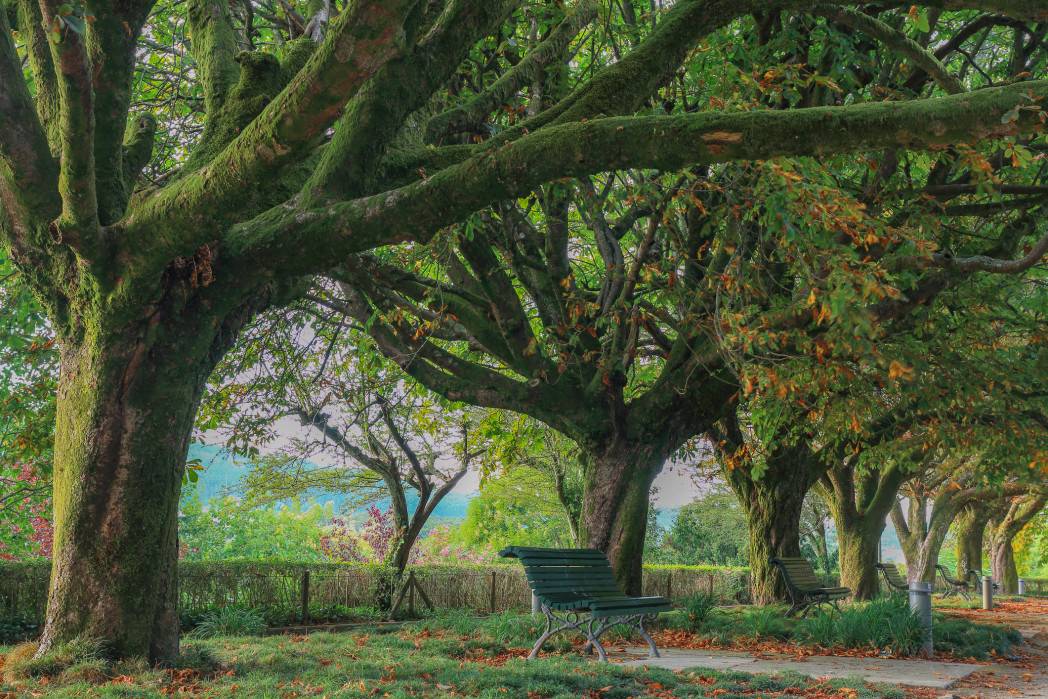 Parque de la Alameda