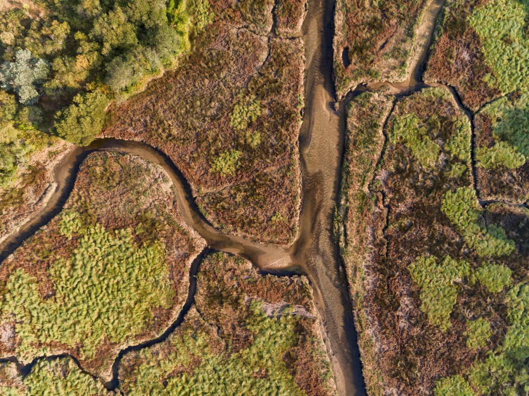 Parque Natural da Xunqueira de Alba
