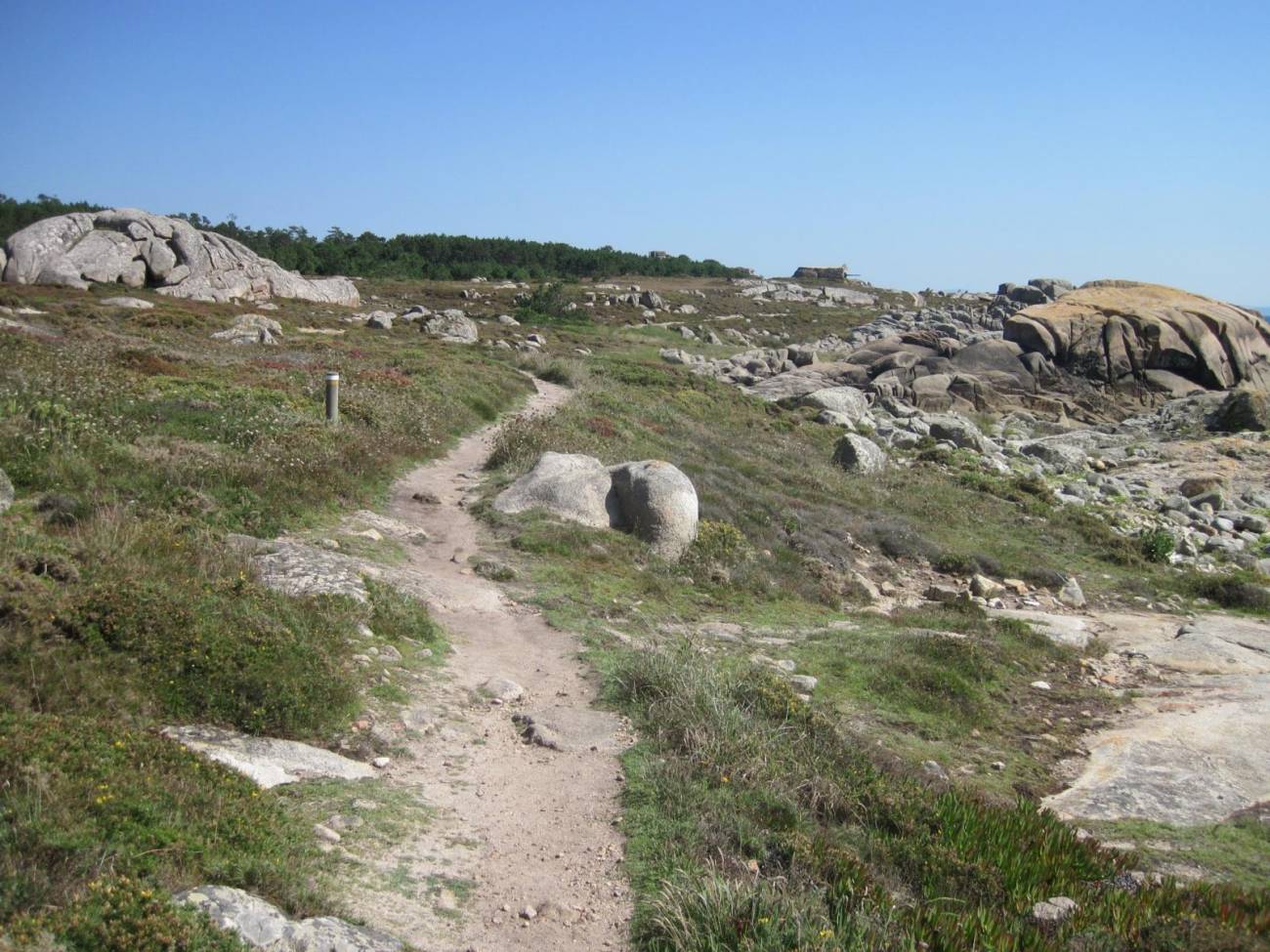 Con Negro. Arte al natural PRG-116