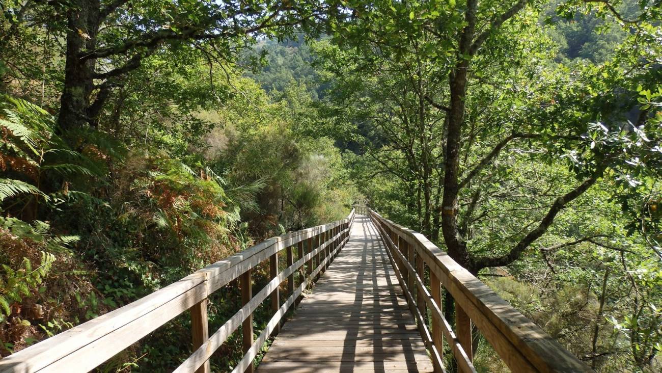 Ruta de las pasarelas de Río Mao PR-G 177