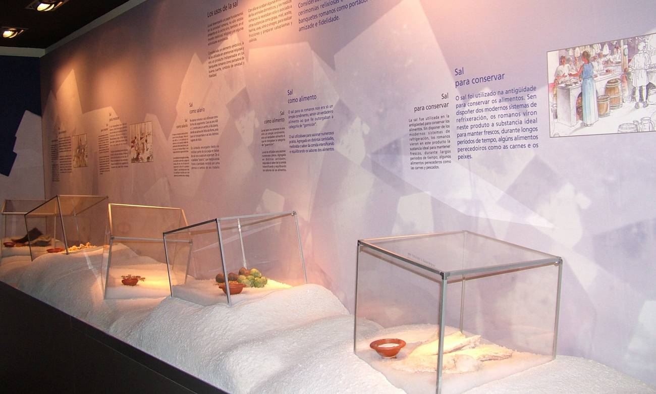 Centro Arqueolóxico de Salinae