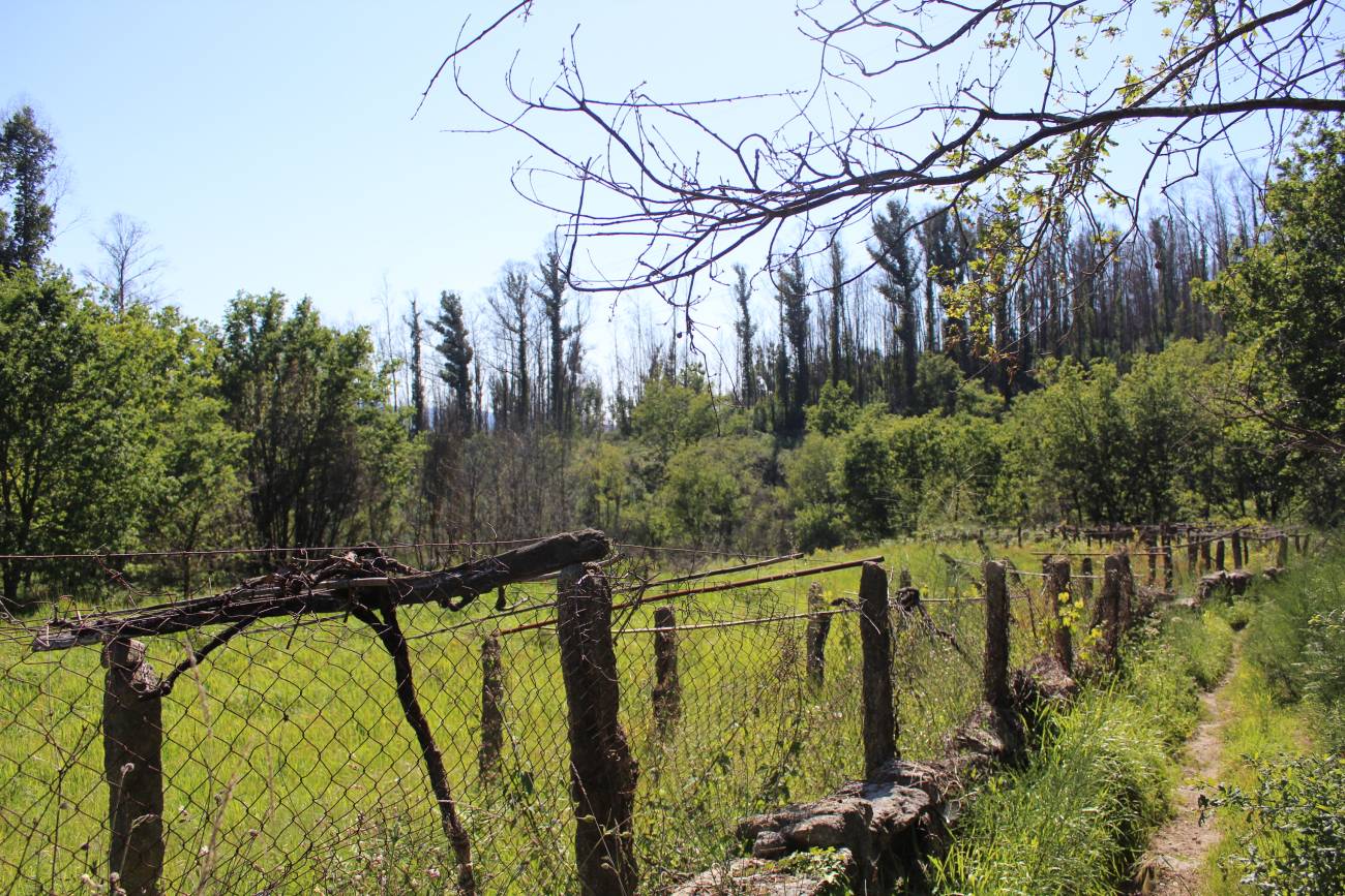 Ruta sendeiro dos Matos