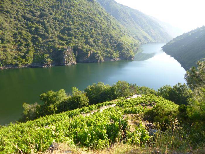 Ruta de las pasarelas de Río Mao PR-G 177