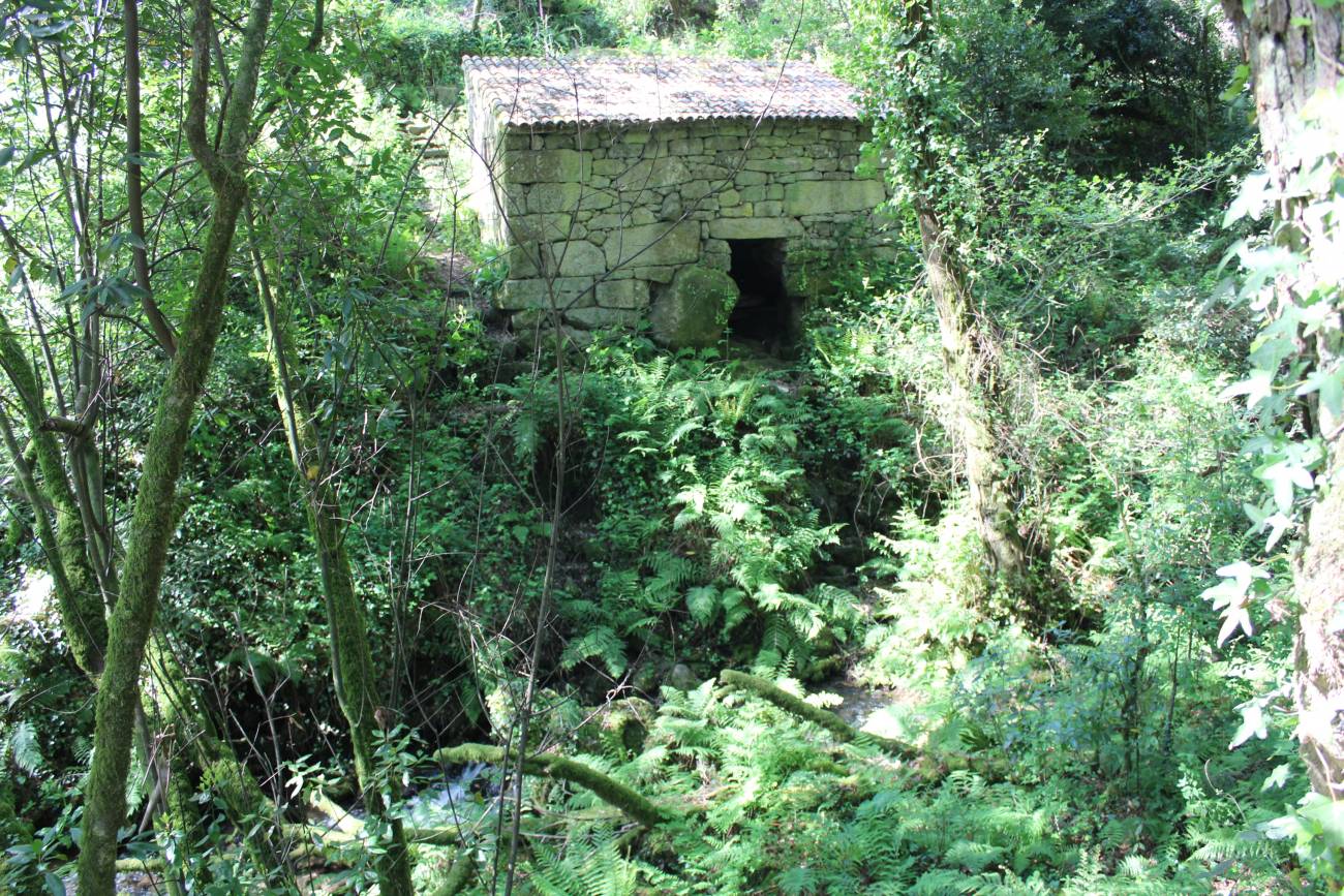 Ruta sendeiro dos Matos